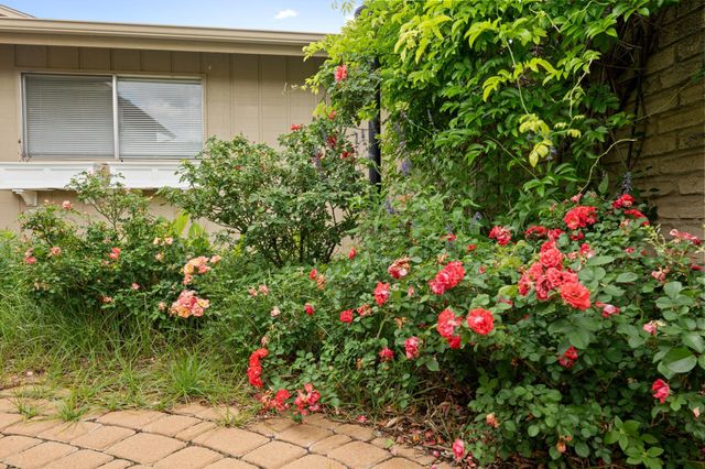 8107 Middle CT, Austin, TX 78759