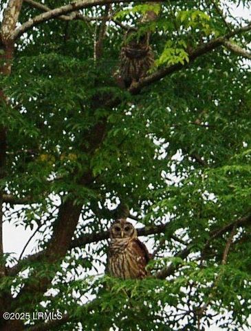 575 Distant Island Drive, Beaufort, SC 29907