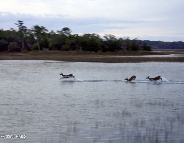575 Distant Island Drive, Beaufort, SC 29907