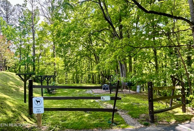 1081 Cove Rd 612, Sevierville, TN 37876