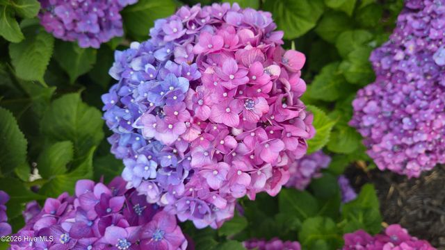 9154 Village Lake Drive SW, Calabash, NC 28467