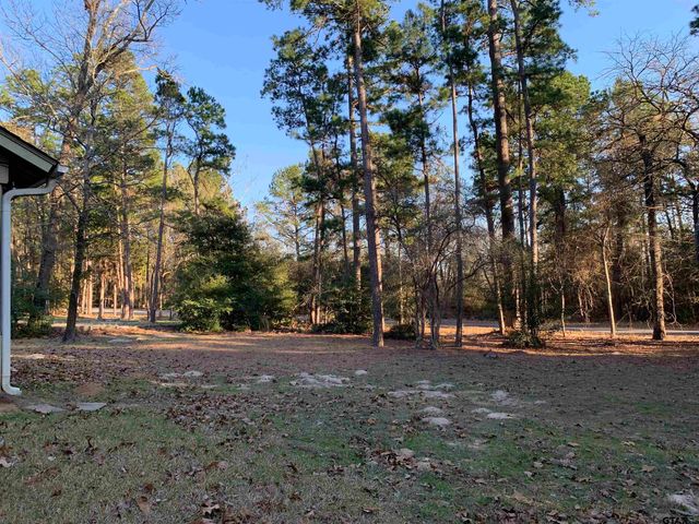 126 Wildwood Trail, Holly Lake Ranch, TX 75765