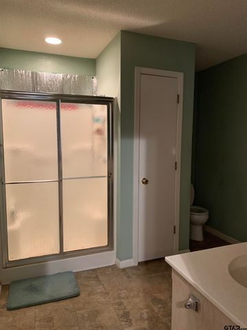 126 Wildwood Trail, Holly Lake Ranch, TX 75765