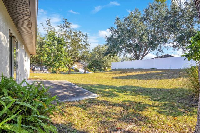 1125 BLACKJACK RIDGE STREET, Minneola, FL 34715