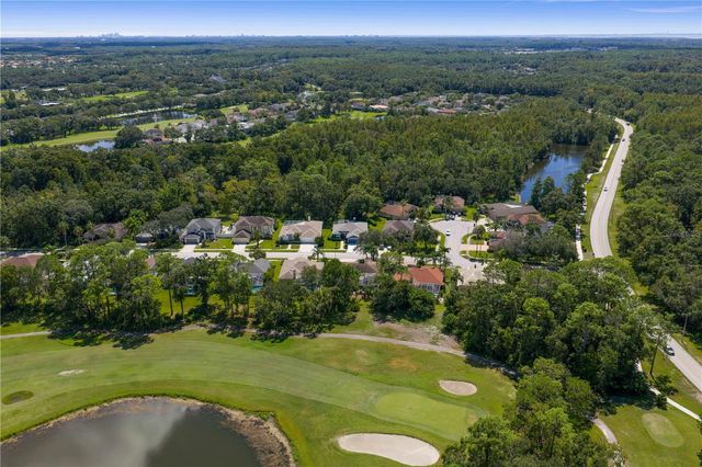15709 MUIRFIELD DRIVE, Odessa, FL 33556