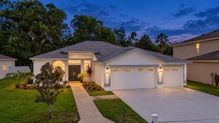 15709 MUIRFIELD DRIVE, Odessa, FL 33556