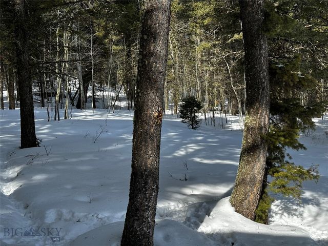 90 Buffalo Lance Road, Cameron, MT 59720