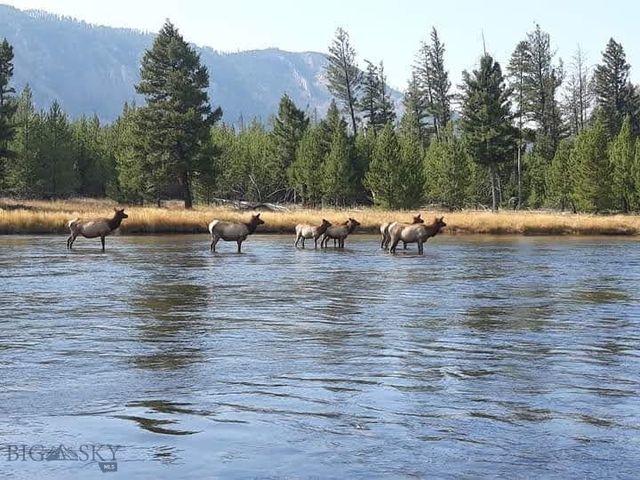 90 Buffalo Lance Road, Cameron, MT 59720