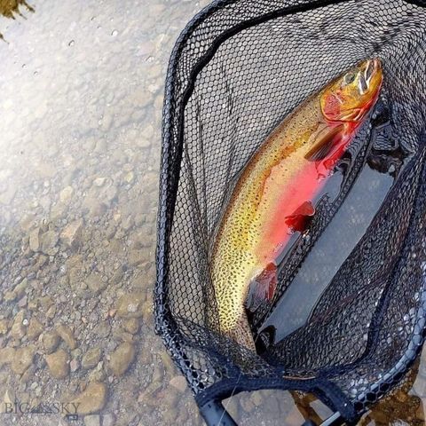 90 Buffalo Lance Road, Cameron, MT 59720