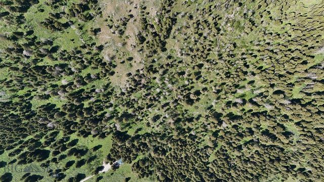 90 Buffalo Lance Road, Cameron, MT 59720