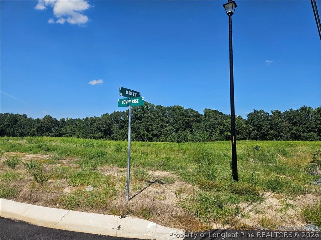 131 Britt Road, St Pauls, NC 28384 — photo 3