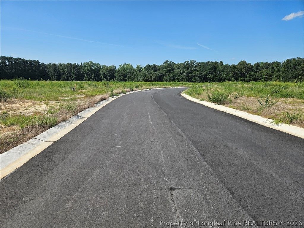 131 Britt Road, St Pauls, NC 28384 — photo 4