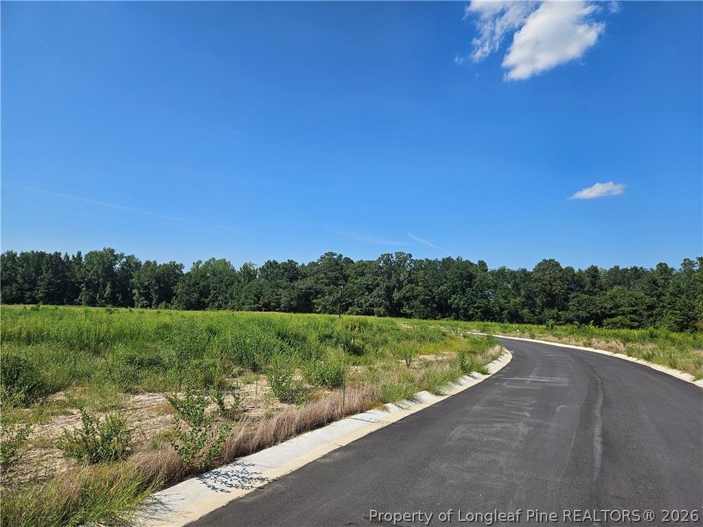 131 Britt Road, St Pauls, NC 28384 — photo 5
