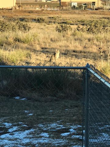 9550 FM 1714, Canyon, TX 79015