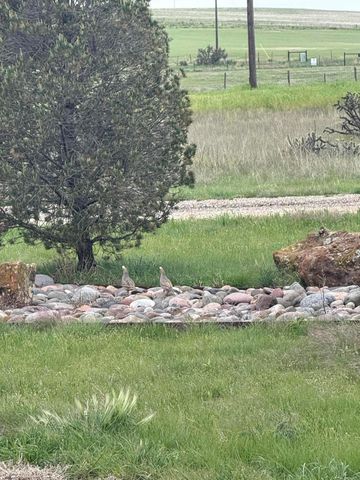 9550 FM 1714, Canyon, TX 79015