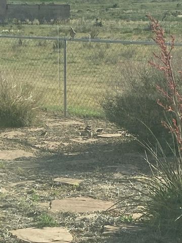 9550 FM 1714, Canyon, TX 79015