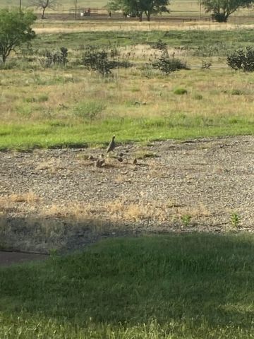 9550 FM 1714, Canyon, TX 79015