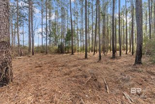 Lot #10 Bermuda Lane, Seminole, AL 36574