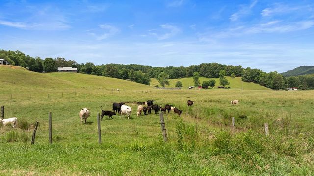 102 Cross Creek Lane, Warne, NC 28909