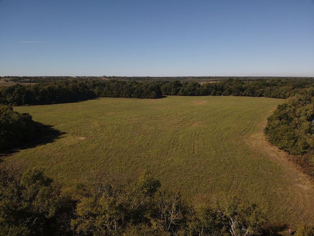 TBD FM 2675, Roxton, TX 75477