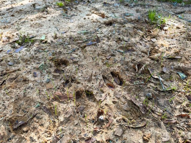 na Cr 325, Jewett, TX 75846