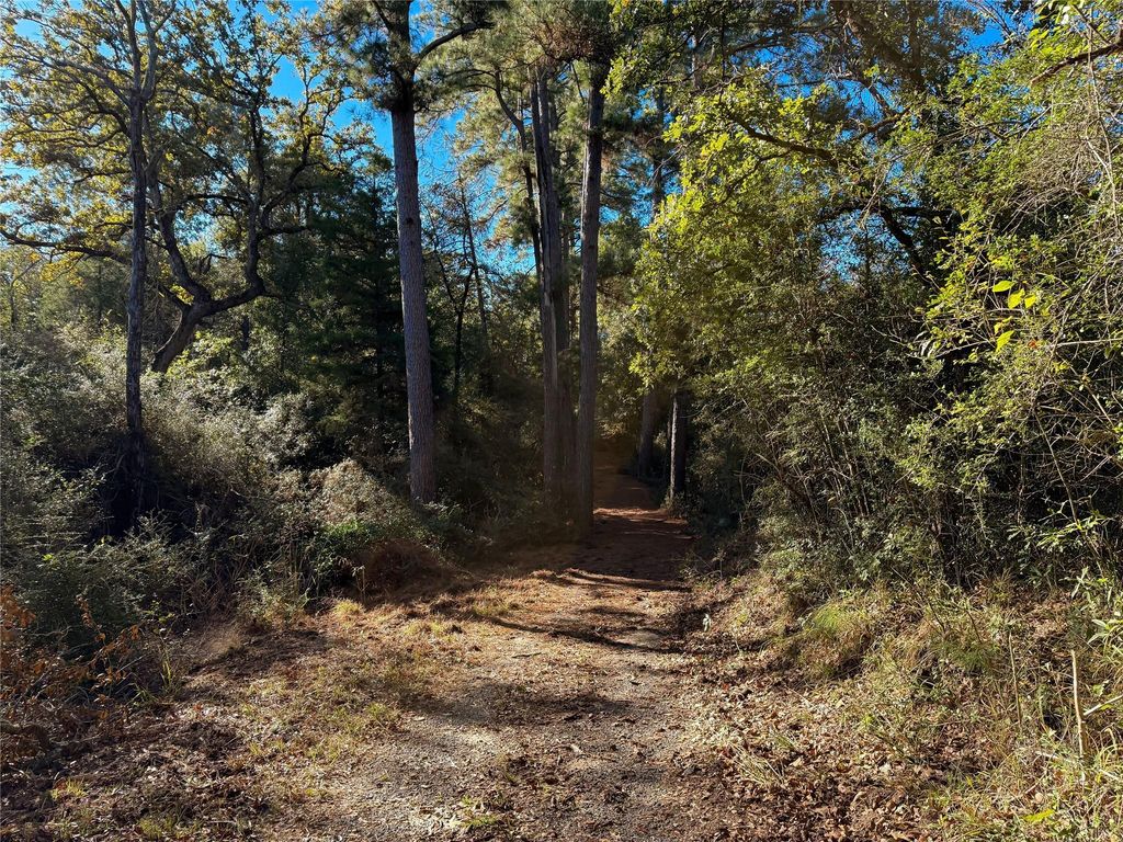 na Cr 325, Jewett, TX 75846