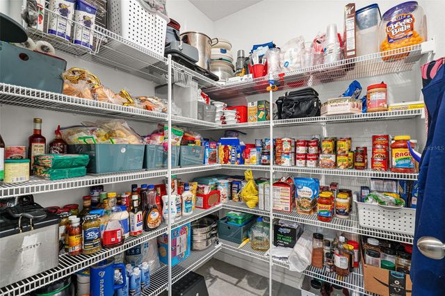 9823 LEMON DROP LOOP, Ruskin, FL 33573