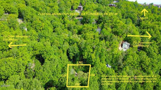 1116 Ski Mountain Road, Gatlinburg, TN 37738