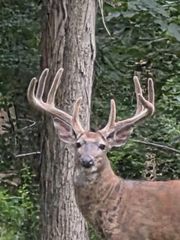 N8720 County CX Road, Portage, WI 53901