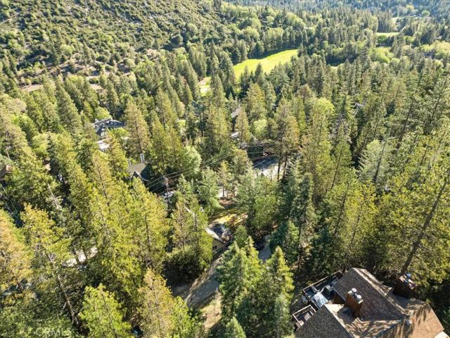 26261 Spyglass, Lake Arrowhead, CA 92352