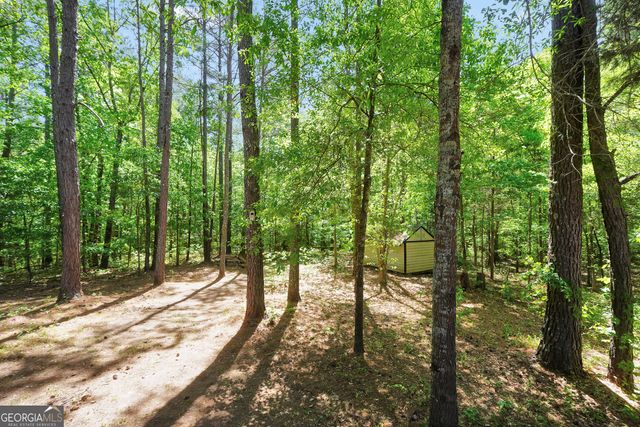 1022 Miss Amber Way, Locust Grove, GA 30248