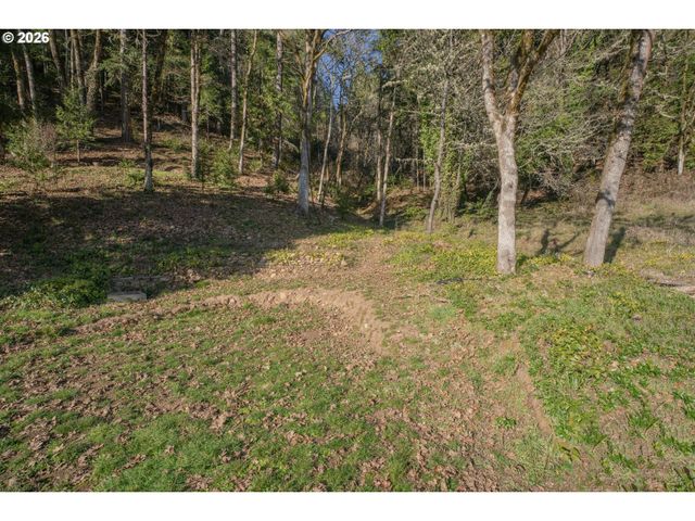 76554 BOBBE Way, Oakridge, OR 97463