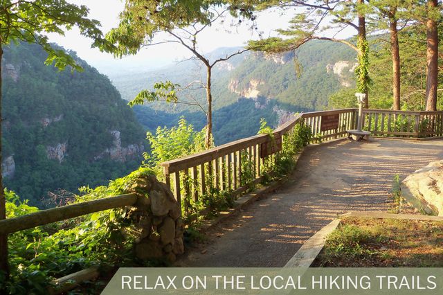 9 Japonica Street, Flintstone, GA 30725