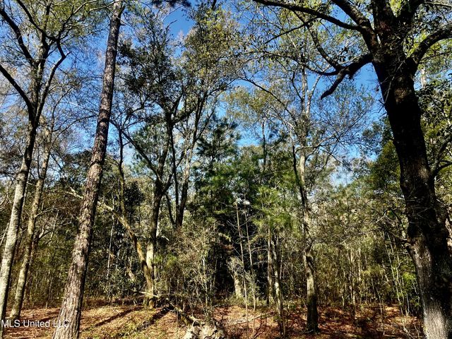 Holland Street, Pascagoula, MS 39581