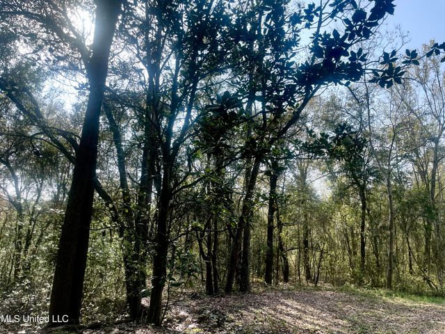 Holland Street, Pascagoula, MS 39581