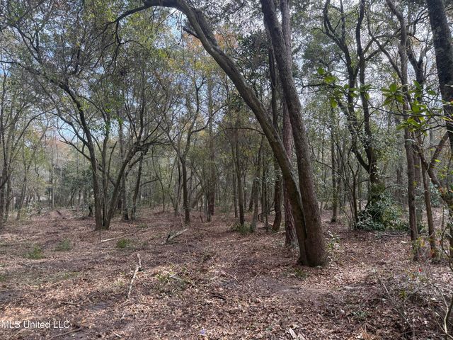 Holland Street, Pascagoula, MS 39581