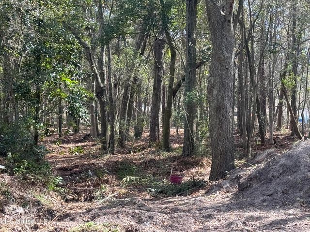 Holland Street, Pascagoula, MS 39581