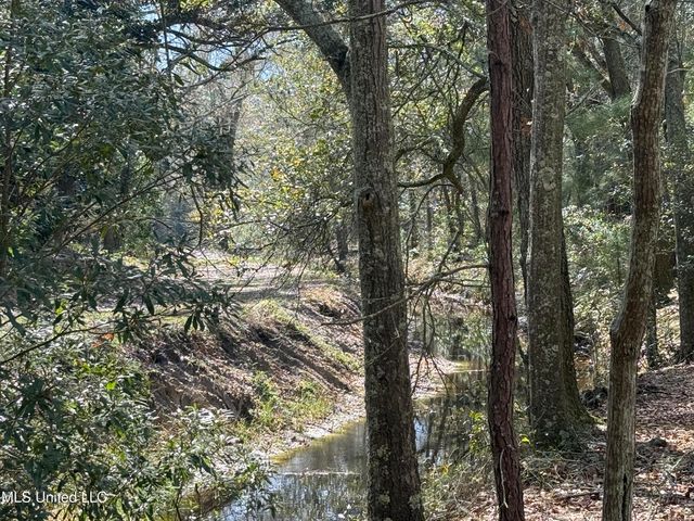 Holland Street, Pascagoula, MS 39581