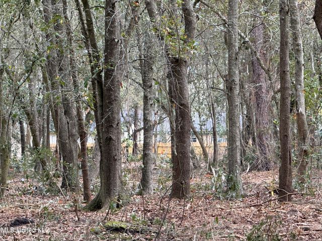 Holland Street, Pascagoula, MS 39581