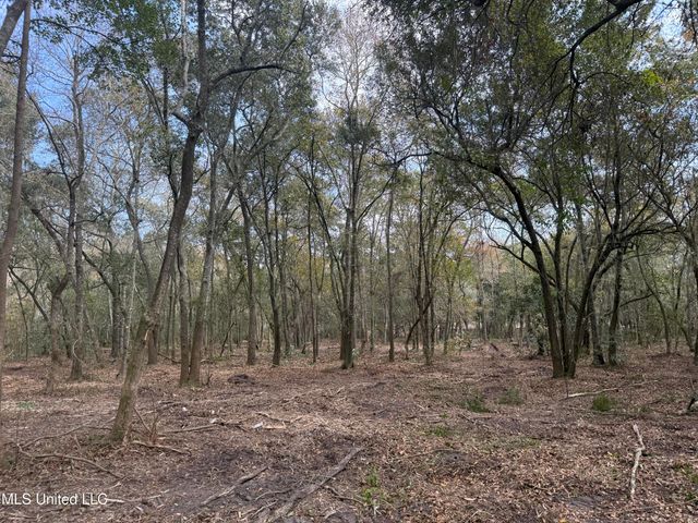 Holland Street, Pascagoula, MS 39581