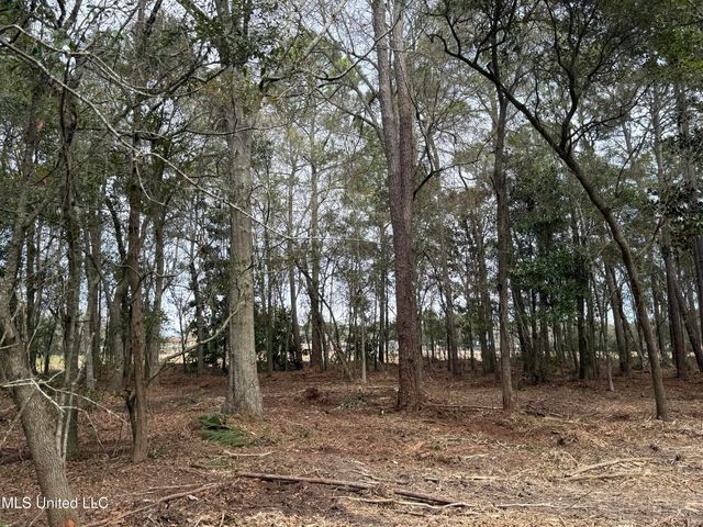 Holland Street, Pascagoula, MS 39581