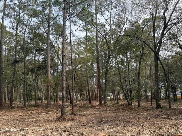 Holland Street, Pascagoula, MS 39581