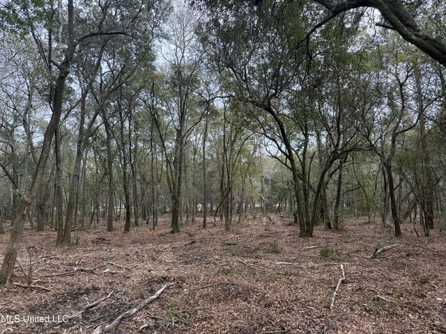 Holland Street, Pascagoula, MS 39581