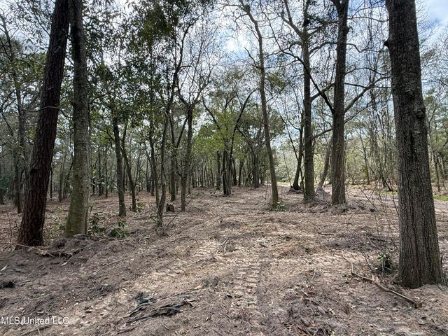 Holland Street, Pascagoula, MS 39581