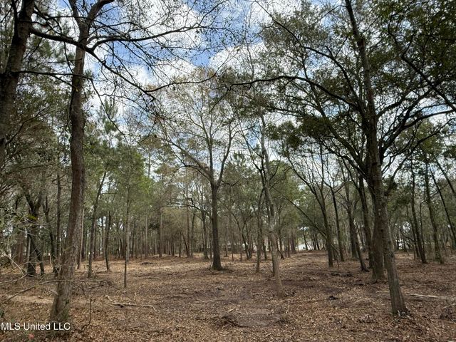 Holland Street, Pascagoula, MS 39581