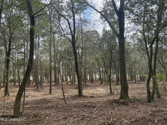 Holland Street, Pascagoula, MS 39581