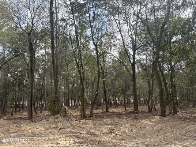 Holland Street, Pascagoula, MS 39581