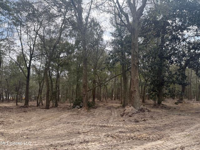 Holland Street, Pascagoula, MS 39581