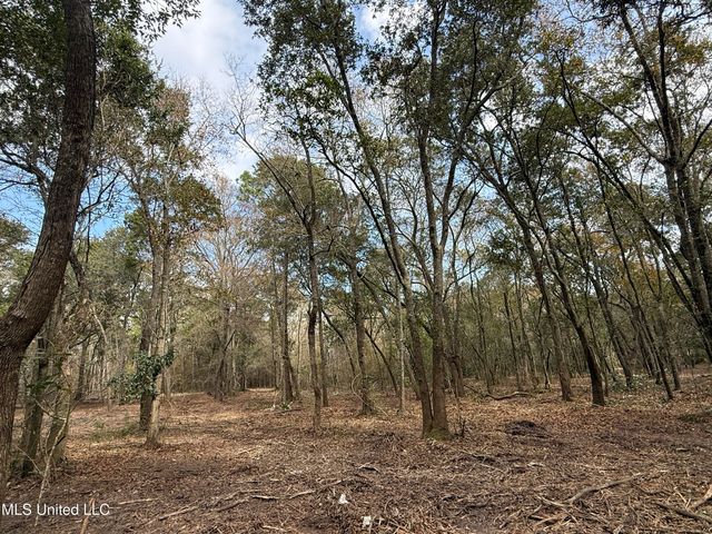 Holland Street, Pascagoula, MS 39581