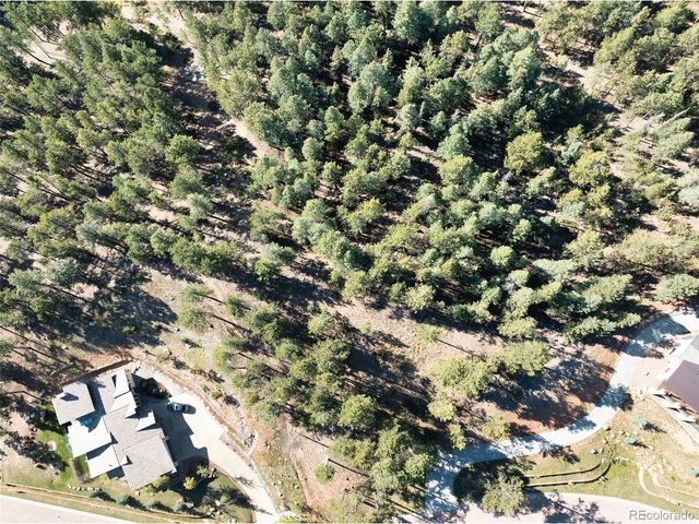 270 Thunder Ridge Dr, Woodland Park, CO 80863